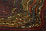 Polished Tiger Iron Stromatolite - Billion Years #129351-1